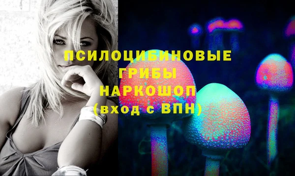 шишки Нязепетровск