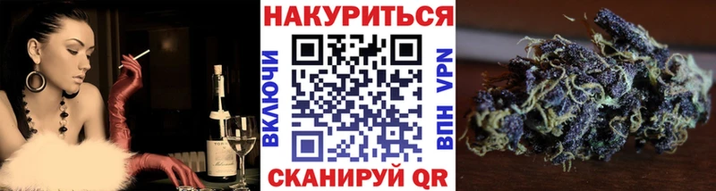 Конопля Bruce Banner  Купить где  Малая Вишера 
